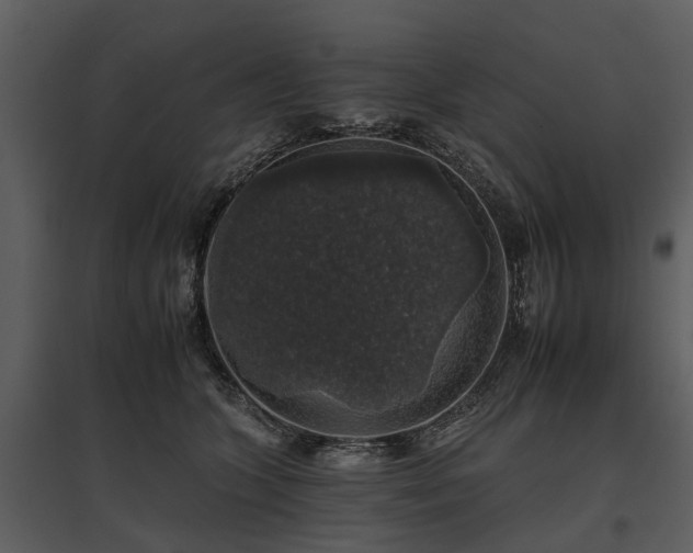 X0000095670563200801151106