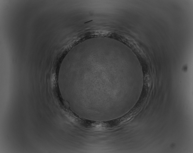 X0000095670564200801151106