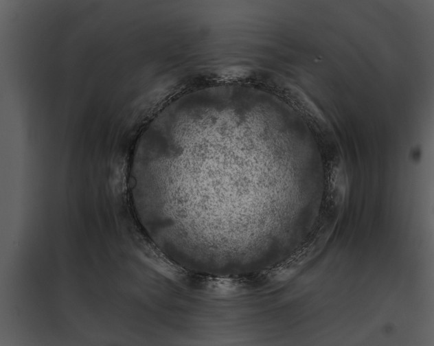 X0000095670565200801151106