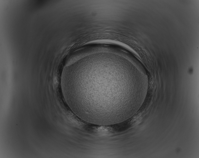 X0000095670566200801151106