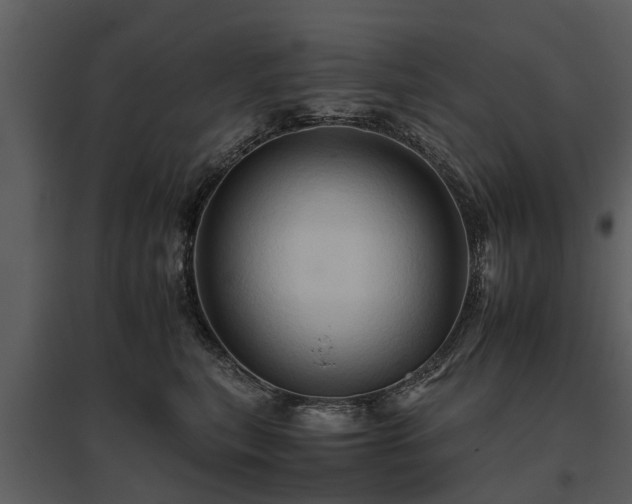 X0000095670567200801151106