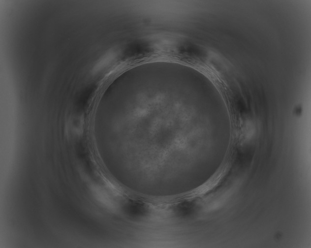 X0000095670568200801151106