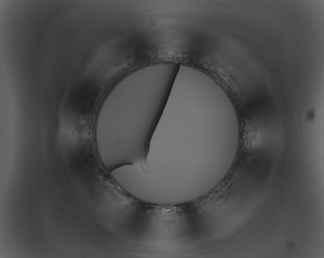 X0000095670569200801151106