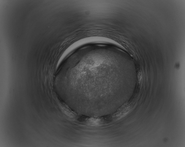 X0000095670570200801151106