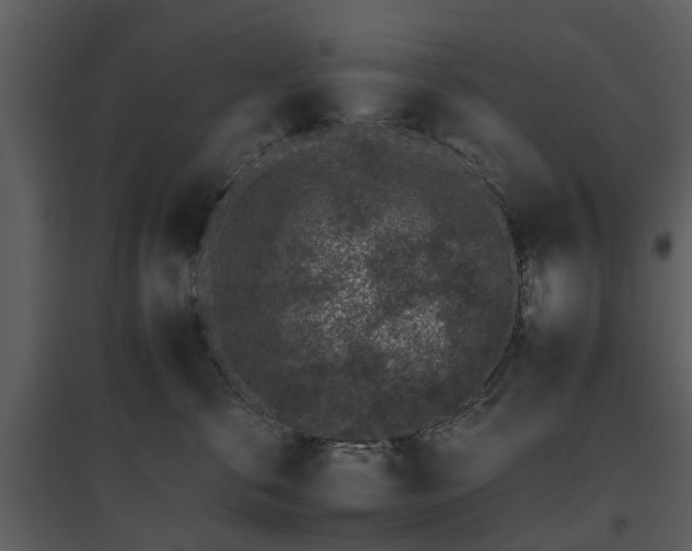 X0000095670571200801151106