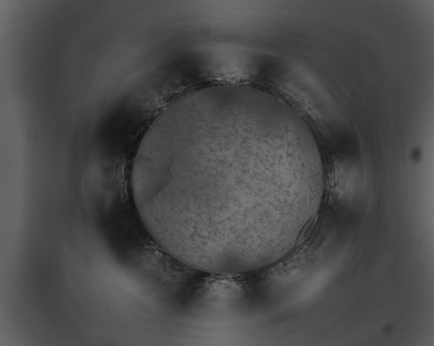 X0000095670572200801151106