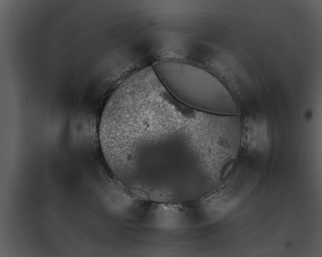 X0000095670573200801151106