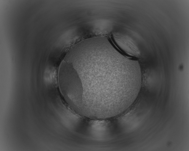 X0000095670575200801151106