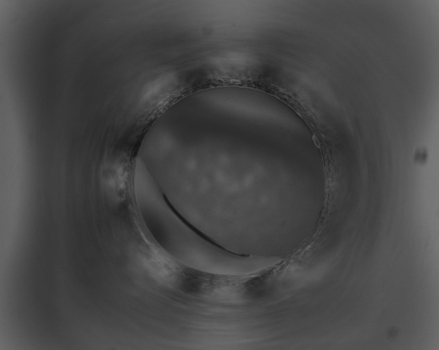 X0000095670576200801151106