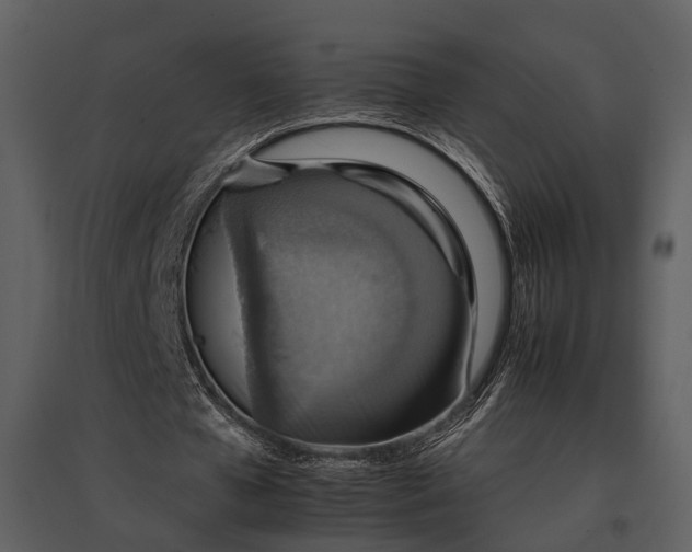 X0000095670577200801151106