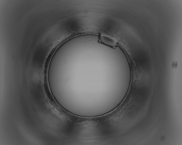 X0000095670578200801151106