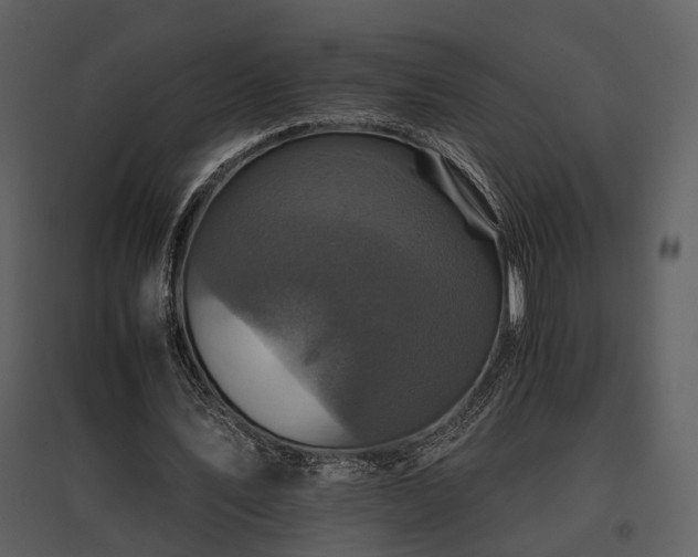 X0000095670579200801151106