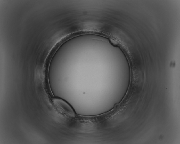 X0000095670580200801151106