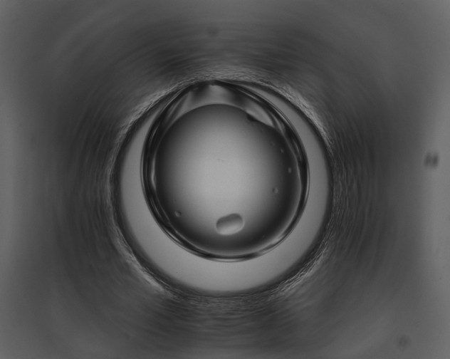 X0000095670581200801151106