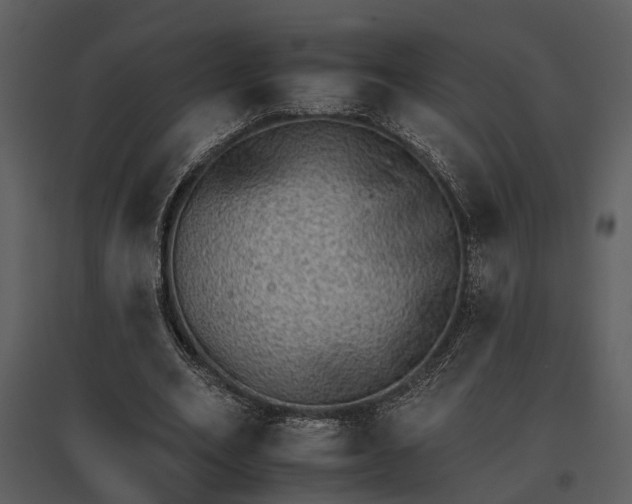 X0000095670582200801151106