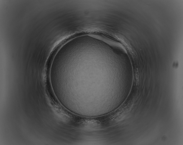 X0000095670583200801151106