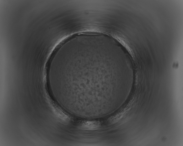 X0000095670584200801151106