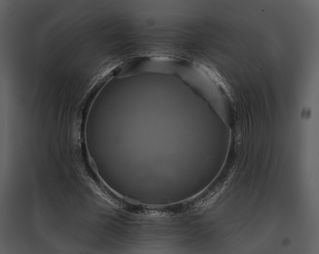 X0000095670585200801151106