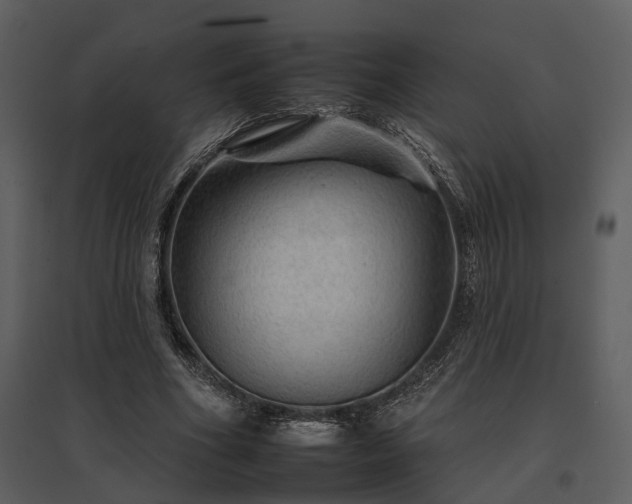 X0000095670586200801151106