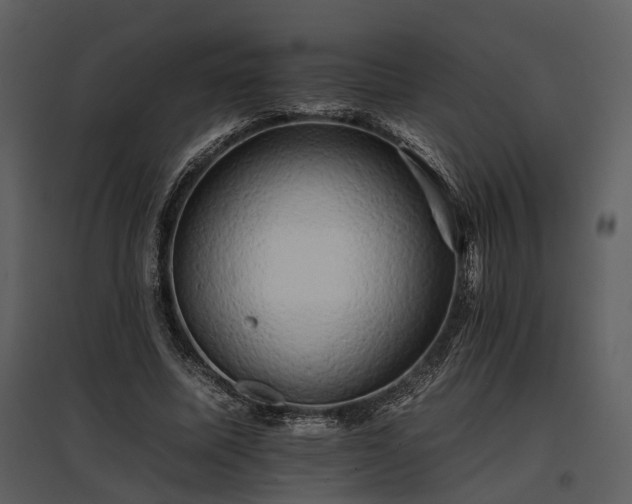 X0000095670587200801151106