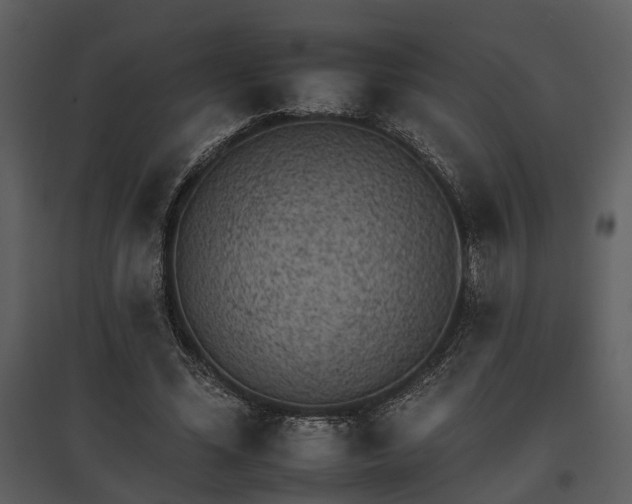 X0000095670588200801151106