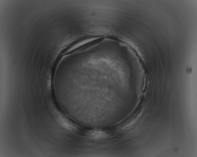 X0000095670589200801151106