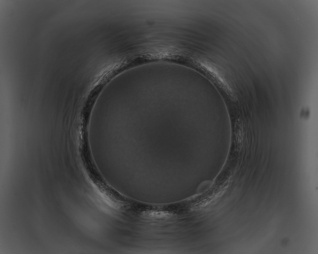 X0000095670590200801151106