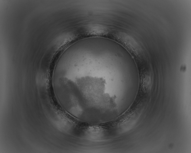 X0000095670591200801151106