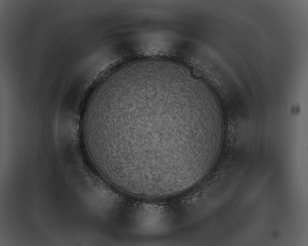 X0000095670592200801151106