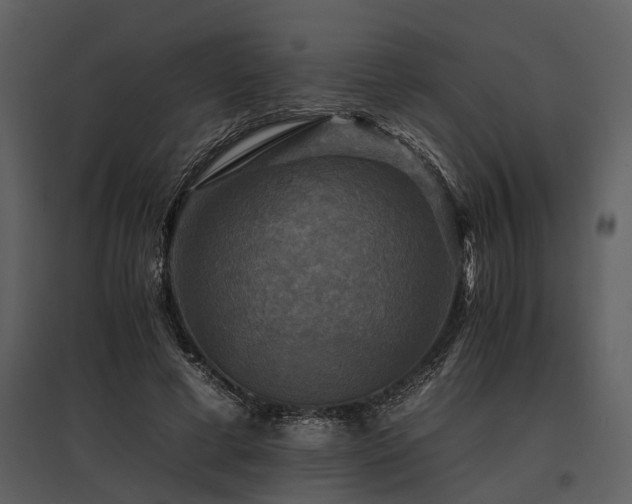 X0000095670593200801151105