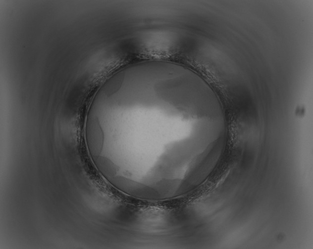 X0000095670594200801151105