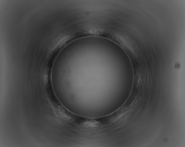 X0000095670595200801151105