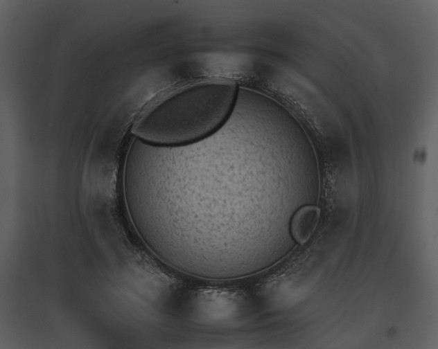 X0000095670596200801151105