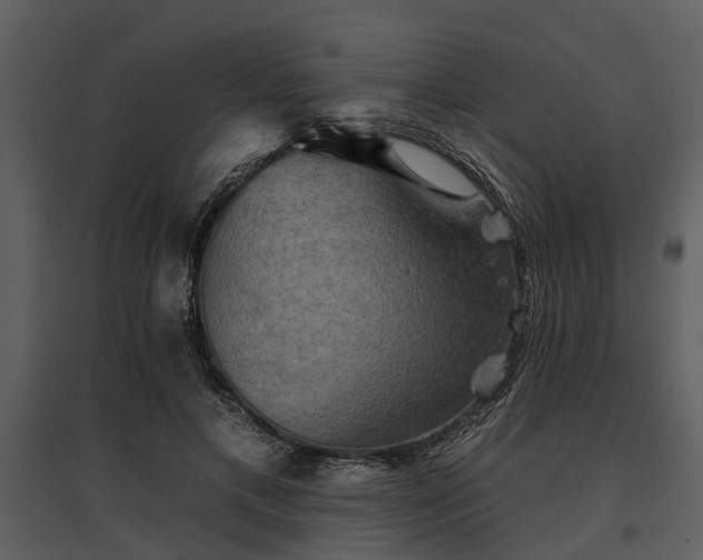 X0000095670597200801151105