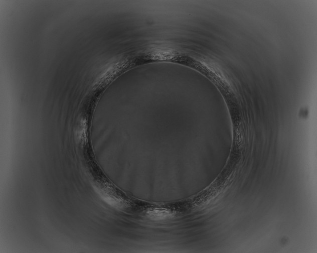 X0000095670598200801151105