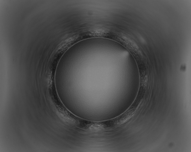 X0000095670599200801151105