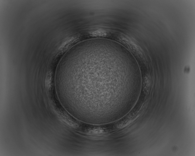 X0000095670600200801151105