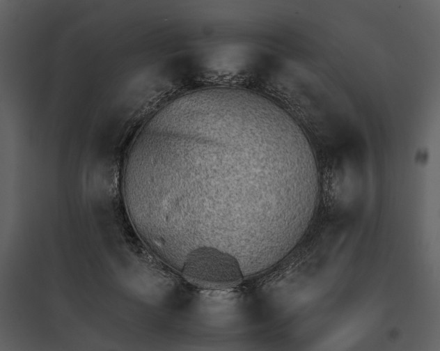 X0000095670602200801151105