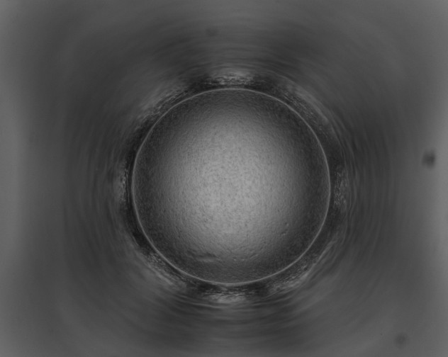 X0000095670604200801151105