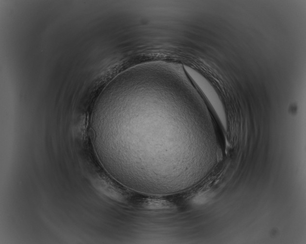 X0000095670605200801151105