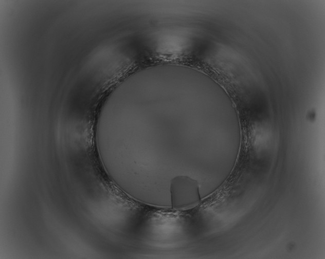 X0000095670606200801151105