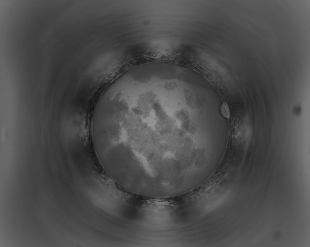 X0000095670607200801151105