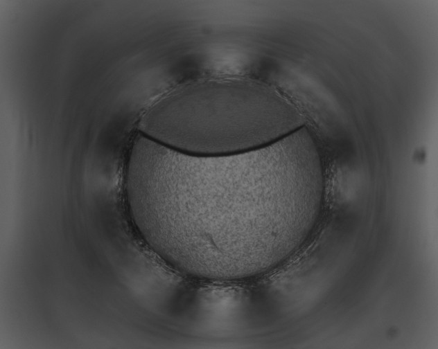 X0000095670608200801151105