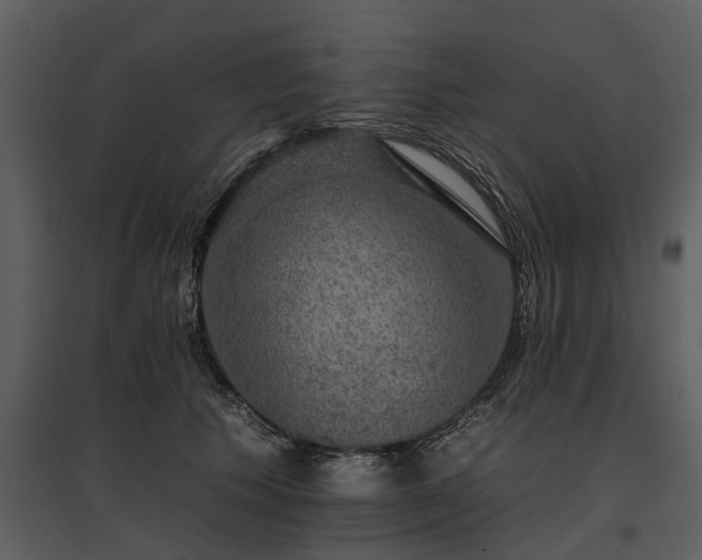 X0000095670609200801151105