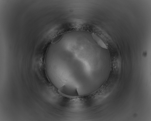 X0000095670611200801151105