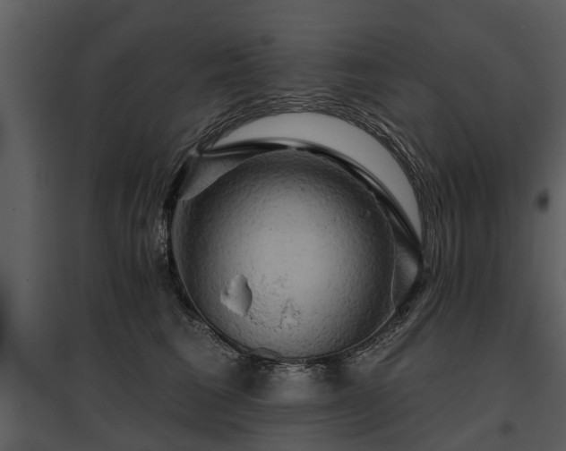 X0000095670613200801151105