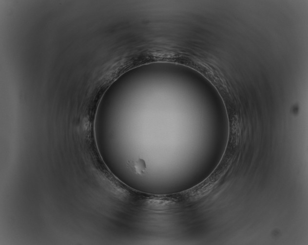 X0000095670614200801151105