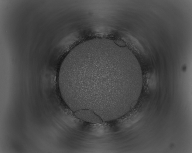 X0000095670615200801151105