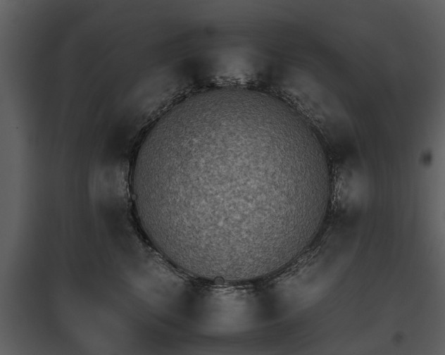 X0000095670616200801151105