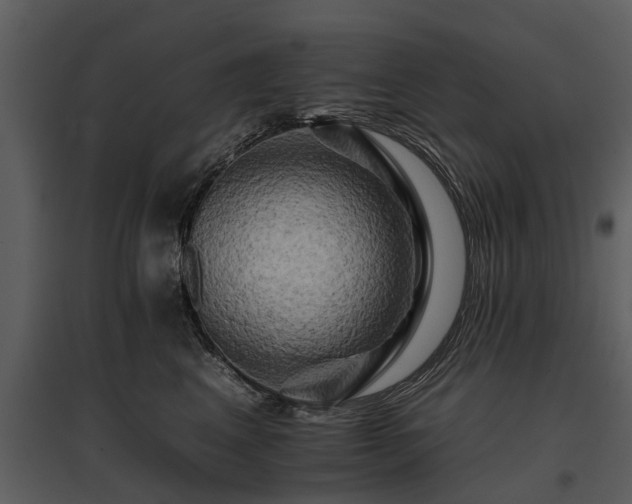 X0000095670617200801151105